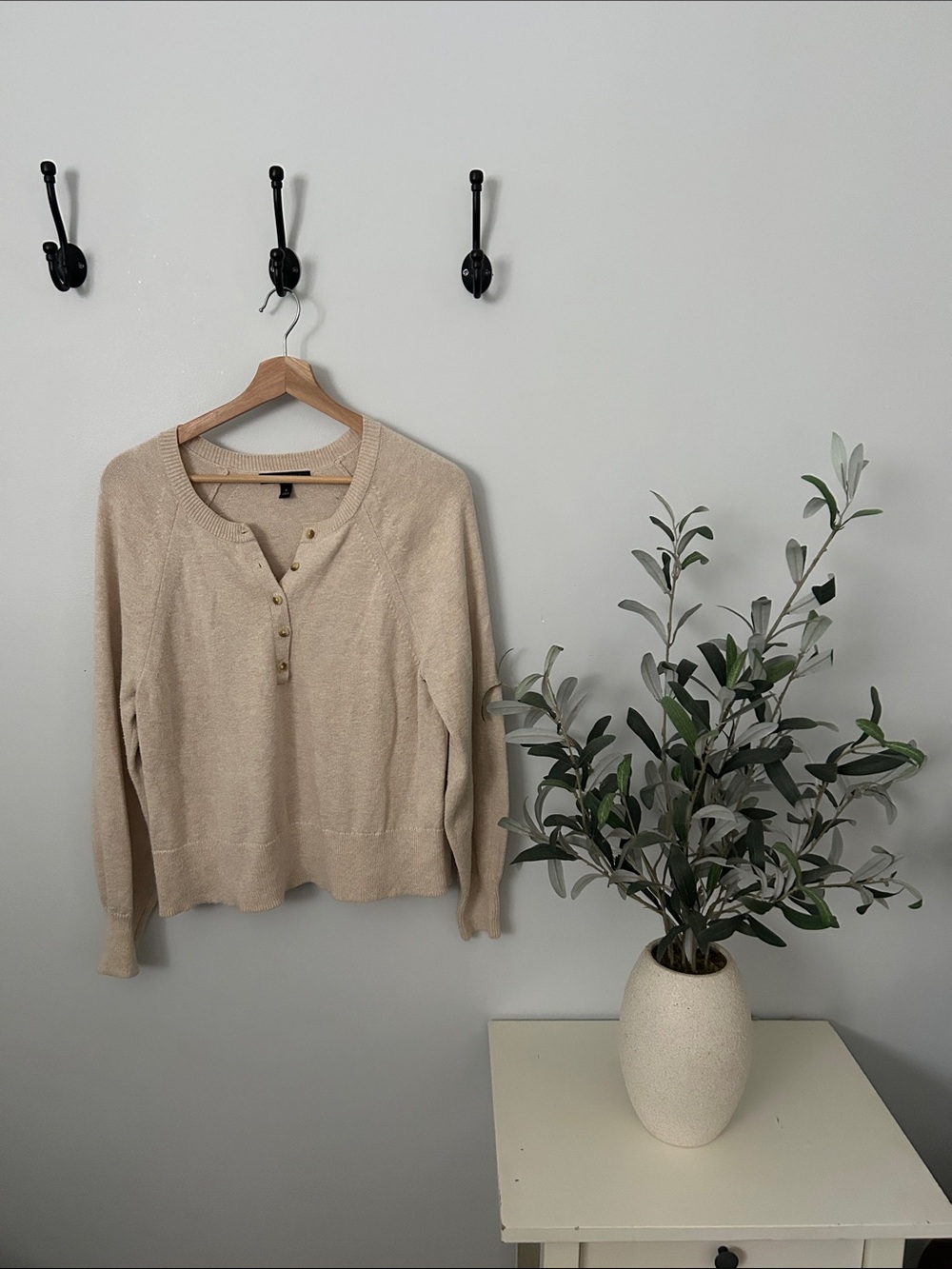 Banana Republic Classic Beige Henley Sweater - Women's Lightweight Knit